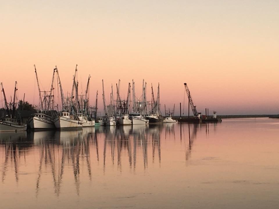 Marina with docked boats and sunset